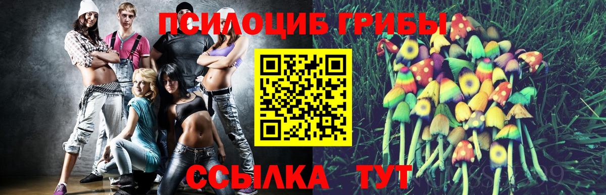 Чита  даркнет сайт  Галлюциногенные грибы Magic Shrooms  Вход с VPN  Галлюциногенные грибы ЛСД 